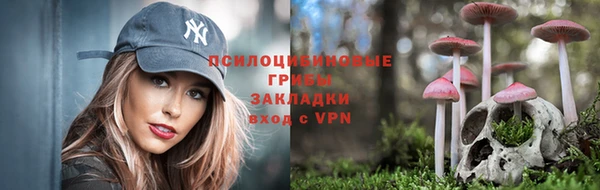 крисы Карталы