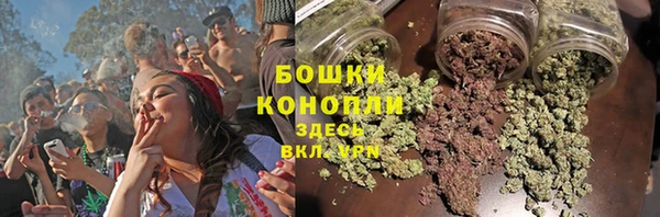 крисы Карталы