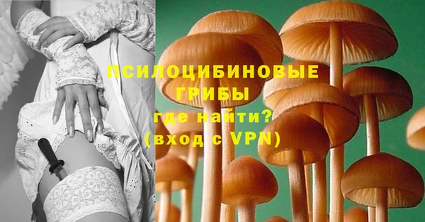 герыч Кинешма