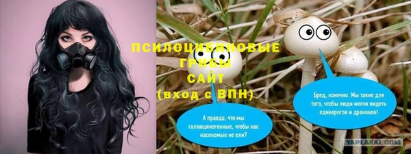 MDMA Premium VHQ Карпинск