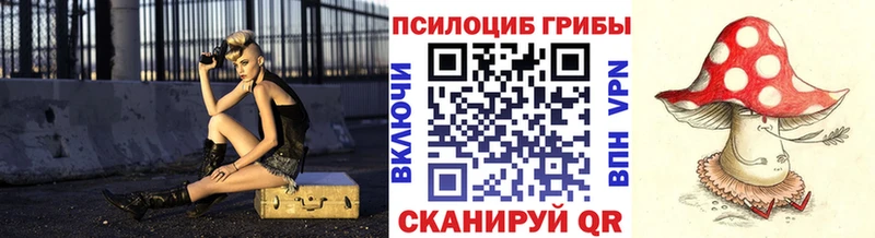 магазин продажи   Лысково  Псилоцибиновые грибы мухоморы 