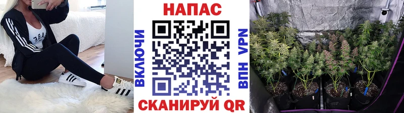Каннабис White Widow Лысково